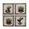 กระเบื้องตกแต่งผนัง ขนาด 100x100x10 mm ลายต้นตระบองเพชร ทรงกลม (Cactus) 5 แผ่น/ชุด