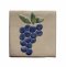 กระเบื้องตกแต่งผนัง ขนาด 100x100x10 mm ลายองุ่น (Grape) 10 แผ่น/ชุด