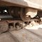 KOMATSU PC200-5-490XX