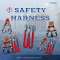 Safety Harness สิ่งนี้คืออะไร ?