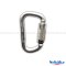 Schake Carabiner 3 actions silver zinc coating carabiner