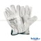 Skin leather Glove  Schake