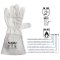 Leather Gloves Argon