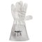 Leather Gloves Argon