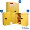 Schake FLAMMABLE CABINET 30 Gallon  Yellow