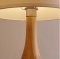 TABLE LAMP โคมไฟตั้งโต๊ะ รุ่น EVE-00220