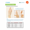 Bonbone Thumb CM Joint Supporter