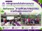 Agricultural Technology Program Enhances Students Entrepreneurial Competencies