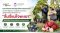University of Phayao Conducts GI Evaluation for Mae Chai Lychee to Enhance Local Agricultural Standards