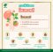 The Secret of Korean Ginseng