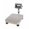 RWS Waterproof Weighing Platform Scales (Stainless) TSCALE