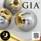[GIA] ชาร์มหัวกำไล PAKASIA ไข่มุกแบบถอดออกได้ ไข่มุกตาฮิติน้ำเค็มคัดเกรด สีเทา-ฟ้า ทรงเกือบกลม ขนาด 11.0-12.0 mm เกรด AA+ ไข่มุกผ่านการตรวจรับรองคุณภาพจาก สถาบัน GIA ตัวเรือนฝาครอบ เงินแท้ 925 ชุบสีทอง