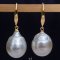 Approx. 12.0 - 14.0  mm, Gold South Sea Pearl, Fish Hooks Pearl Earrings