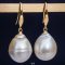 Approx. 12.0 - 14.0  mm, Gold South Sea Pearl, Fish Hooks Pearl Earrings