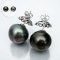 15.19 - 15.39 mm, Tahitian Pearl, Stud Pearl Earrings