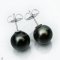 Approx. 12.0 mm, Tahitian Pearl, Stud Pearl Earrings