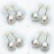 Approx. 12.0 mm, White South Sea Pearl, Stud Pearl Earrings