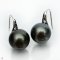 Approx. 11.0 mm, Tahitian Pearl, Fish Hooks Spoon Pearl Earrings