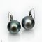 Approx. 12.0 - 13.0 mm, Tahitian Pearl, Fish Hooks Spoon Pearl Earrings