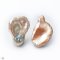 Approx. 11.0 - 13.0 mm, Corn Flake Pearl, Freshwater Pearl, Stud Earrings