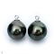 Approx. 12.0 - 13.0 mm, Tahitian Pearl, Pearl Drop