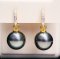 Approx. 13.0 mm, Tahitian Pearl, Jacket Pearl, CZ Paved Latch Back Earrings