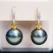 Approx. 13.0 mm, Tahitian Pearl, Jacket Pearl, CZ Paved Latch Back Earrings