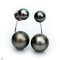 Approx. 7.0 mm and 12.0 mm, Tahitian Pearl, Arch Bridge Pearl Earring Backs Stud Pearl Earrings