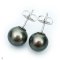 Approx. 12.0 mm, Tahitian Pearl, Stud Pearl Earrings