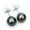 Approx. 12.0 mm, Tahitian Pearl, Stud Pearl Earrings