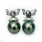 Approx. 5.0 -12.0 mm, Tahitian Pearl, " Wild Butterfly " Pearl Stud Earrings