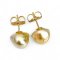 10.0 - 11.0 mm, Gold South Sea Pearl, Stud Pearl Earrings