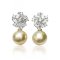 Approx. 9.5 - 10.0 mm, Gold South Sea Pearl, Star Cluster CZ Pearl Stud Earrings