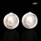 Approx. 15.0 mm, Mabe South Sea Pearl, Stud Pearl Earrings