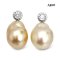 Approx. 9.0 - 11.0 mm, Gold South Sea Pearl, CZ Dot Pearl Stud Earrings