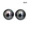 (PSL) Approx. 10.0 mm, Aurora Lagoon, Tahitian Pearl, Pair Pearl