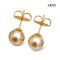 Approx. 7.0-8.0 mm, Gold South Sea Pearl, Stud Earrings