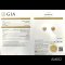 (GIA) 11.23 x 11.11 mm and 11.38 x 11.10 mm, Gold South Sea Pearl, Double Leaves Pearl, Stud Earrings