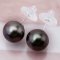 Approx. 10.0 - 11.0 mm, Tahitian Pearl, Stud Earrings