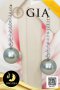 [GIA] ต่างหูสายรุ้งทองแท้ 18k ประดับเพทาย CZ ห้อยไข่มุก ตาฮิติน้ำเค็มคัดเกรด สีเทา - Silver Gray ทรงกลม ขนาดจัมโบ้ 12 mm เกรด AA+  (ไข่มุกผ่านการตรวจรับรองคุณภาพจาก สถาบัน GIA, Tahitian 1,199 Lot) ตัวเรือนต่างหูสายรุ้ง และก้านต่างหูขนาด 0.8-0.9 mm ทองแท้