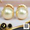 ต่างหู Stud ติดหูไข่มุกเม็ดเดี่ยว ไข่มุก South Sea สายพันธุ์น้ำเค็มคัดเกรด สีทอง Light Gold ทรงกลม ขนาด 10-10.5 mm เกรด AA+ Luster ดีเยี่ยม ตัวเรือนก้านต่างหูแบบ Stud ทับหลัง Lollipop วัสดุ Gold Filled 14K / 2.3.65