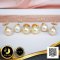 ต่างหู Stud ติดหูไข่มุกเม็ดเดี่ยว ไข่มุก South Sea สายพันธุ์น้ำเค็มคัดเกรด สีทอง Light Gold ทรงกลม ขนาด 10-10.5 mm เกรด AA+ Luster ดีเยี่ยม ตัวเรือนก้านต่างหูแบบ Stud ทับหลัง Lollipop วัสดุ Gold Filled 14K / 2.3.65