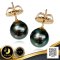 ต่างหู Stud ติดหูไข่มุก Tahitian Pearl เม็ดเดี่ยว / 26.6.65
