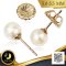 ต่างหู Stud ติดหูไข่มุกเม็ดเดี่ยว ไข่มุก Freshwater Pearl สายพันธุ์น้ำจืดคัดเกรด สีขาว ทรงกลม ขนาด 5.0 - 5.5 mm เกรด AAA Luster ดีเยี่ยม ตัวเรือนก้านต่างหูแบบ Stud ทับหลัง Butterfly แบบ Lollipop วัสดุ 14K Yellow Gold Filled / 12.6.65