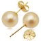 12.0-12.5 mm, Gold South Sea Pearl, Stud Earrings