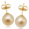 12.0-12.5 mm, Gold South Sea Pearl, Stud Earrings