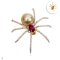 Approx. 10.0 - 11.0 mm, Gold South Sea Pearl, Spider CZ Paved Pearl Brooch