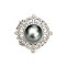 Approx. 12.5 - 13.0 mm, Tahitian Pearl, Pearl Sash Clip