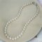 9.0 - 11.5 mm, White South Sea Pearl, Graduated Pearl Necklace