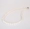 6.99 - 8.03 mm, Akoya Pearl, Graduated Pearl Necklace